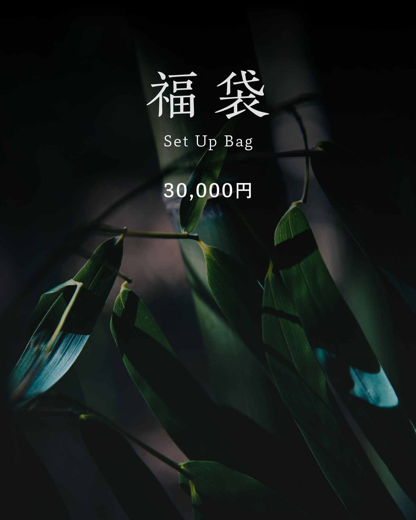 福袋setup  -30,000円-